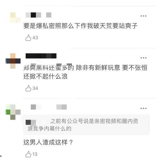 张恒爆料邓爽视频大全集,揭秘娱乐圈背后的秘密
